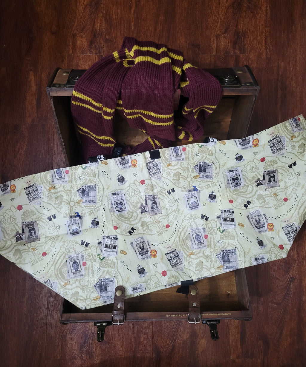 HP x Disney MAGICAL MAP BOMBUCHA Bag